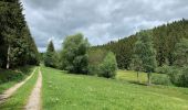 Trail On foot Hellenthal - Gebirgsstelzen- und Schwarzstorchpfad - Photo 8