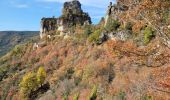 Tocht Stappen Le Rozier - les corniches du Méjean (la Jonte) - Photo 15