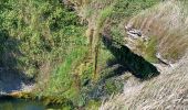 Trail Walking Tardinghen - parking du chapelet  - batterie todt, via campagne, retour par les falaises - Photo 13
