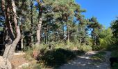 Tour Wandern Rocles - Palhères - lac de Naussac - Bessettes - Photo 2