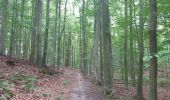 Trail Walking Sint-Genesius-Rode - 2020-09-01 - Forêt de Soignes- Rhode Saint Genève  - Photo 15