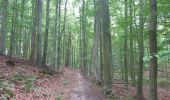 Tour Wandern Sint-Genesius-Rode - 2020-09-01 - Forêt de Soignes- Rhode Saint Genève  - Photo 15