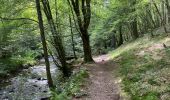 Trail Walking Viroinval - Oignies en Thierache 20,7 km - Photo 4