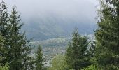 Trail Walking Chamonix-Mont-Blanc - J13 - R11 - Chalet La Floria depuis Les Praz de Chamonix - Photo 14