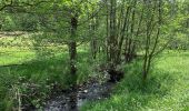 Excursión A pie Hellenthal - Gebirgsstelzen- und Schwarzstorchpfad - Photo 4