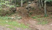 Trail Walking Ribeauvillé - boucle la grande verrerie-roche des 3 tables-roche des reptiles-roche des géants-la grande verrerie  - Photo 13