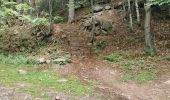 Excursión Senderismo Ribeauvillé - boucle la grande verrerie-roche des 3 tables-roche des reptiles-roche des géants-la grande verrerie  - Photo 13