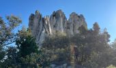 Tour Wandern Gigondas - Dentelles de Montmirail - Photo 19