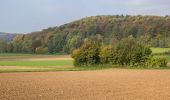 Randonnée A pied Pommelsbrunn - Hunas-Rundweg um Pommelsbrunn - Photo 6