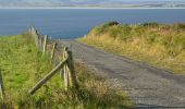 Trail On foot Inishowen Municipal District - Inishowen Head Walk - Photo 8