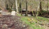 Tocht Stappen Malmedy - Le tour du Ravel - Photo 1