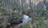 Tour Wandern Lierneux - lierneux . promenade aérienne dans la vallee de la lienne - Photo 7