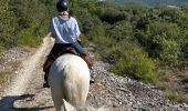 Trail Horseback riding Simiane-la-Rotonde - Provence 2025 J4 - Photo 19