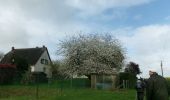 Tour Wandern Saint-Pierre-des-Fleurs - 20240409-StPierre des Fleurs Cool - Photo 4