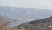 Tocht Mountainbike La Chapelle-du-Mont-du-Chat - col du chat st pierre de curtille - Photo 3