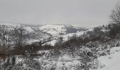 Tocht Stappen La Bresse - la bresse - le moutier des fées  - Photo 9