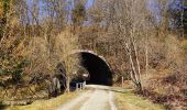 Tour Wandern Bütgenbach - Promenade le long de la Warche   - Photo 8