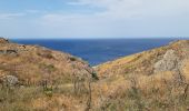 Trail Walking Port-Vendres - port vendre . cap bear / retour  - Photo 15