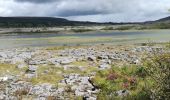 Randonnée Marche West Clare Municipal District - Irlande 2019-08 Mullaghmore, Burren National Park - Photo 1