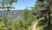 Trail Walking Saint-Pierre-des-Tripiers - Cassagnes crête vallée Jonte et Tarn 12,2 km - Photo 11