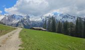 Excursión Bici de montaña Le Grand-Bornand - Tour du Danay - Photo 4