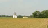 Tour Wandern Court-Saint-Étienne - Chapelle du Try au Chêne - Photo 2