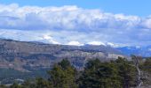 Trail On foot Saint-Vallier-de-Thiey - La Colle du Maçon  - Photo 11