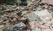Percorso Marcia Spa - Berinzen - Photo 2