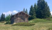 Tour Elektrofahrrad Saint-Agnan-en-Vercors - Traversée u Vercors  - Photo 2