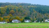 Tocht Te voet Rheinböllen - Natur-Erlebnisweg Schinderhannes - Photo 8