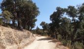 Tour Wandern Montesquieu-des-Albères - dans les environs de Montesquieu  - Photo 19