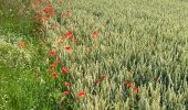 Tour Wandern Eijsden-Margraten - Rijckholt - Photo 8