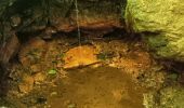 Trail Walking Spa - artistes . nelis . geronster . meyerber . artistes  - Photo 14