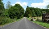 Tour Zu Fuß Tenneville - 3. Promenade du Bronze - Photo 8