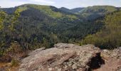 Tour Wandern Zabern - Saverne : rocher Rappenfels - grotte St Vit - château Greifenstein - Photo 14