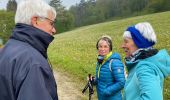 Trail Walking Rochefort - Belvaux, la Lesse 9 - Photo 9