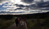 Randonnée Marche Celles - Vailhés Laulo L'Auverne Salagou - Photo 13