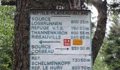 Randonnée Marche Ribeauvillé - Le Taennchel à partir du Schelmenkopf - Photo 4