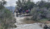 Randonnée Marche Le Cannet-des-Maures - la plaine des maures - Photo 1