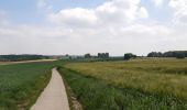 Tocht Stappen Huldenberg - petite rando autour du kinderveld  - Photo 10