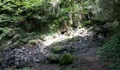 Excursión Carrera Etsaut - ETSAUT Chemin de la mâture col d Arras - Photo 1