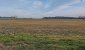 Randonnée Marche Roncherolles-sur-le-Vivier - 20250218 Roncherolles Darnetal - Photo 1