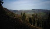 Trail Walking Orgeans-Blanchefontaine - Orgeans Rocher du Boubet et Grottes de Waroly (IBP 89 ) 26 avril 2021 CAF - Photo 1