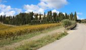 Tour Zu Fuß Gaiole in Chianti - IT-50 - Photo 5