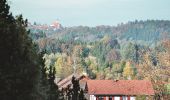 Tocht Te voet Kinsau - Kinsauer Lechschleifenrunde (8,5km) - Photo 1