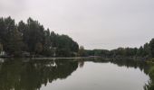 Percorso Marcia Bornem - Randonnée autour du lac de Bornem  - Photo 6