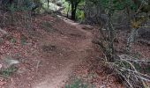 Tour Wandern L'Albère - ullat . piste . puig orella . puig St cristau . puig orella . ullat - Photo 7