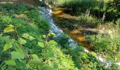 Randonnée Marche Fleurus - forêt des loisirs Fleurus - Photo 11