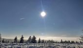 Randonnée Ski de fond Waimes - Les trois boucles des hautes fagnes - Photo 5