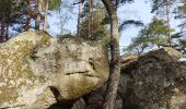 Excursión Senderismo Fontainebleau - L'inspecteur général - Photo 2